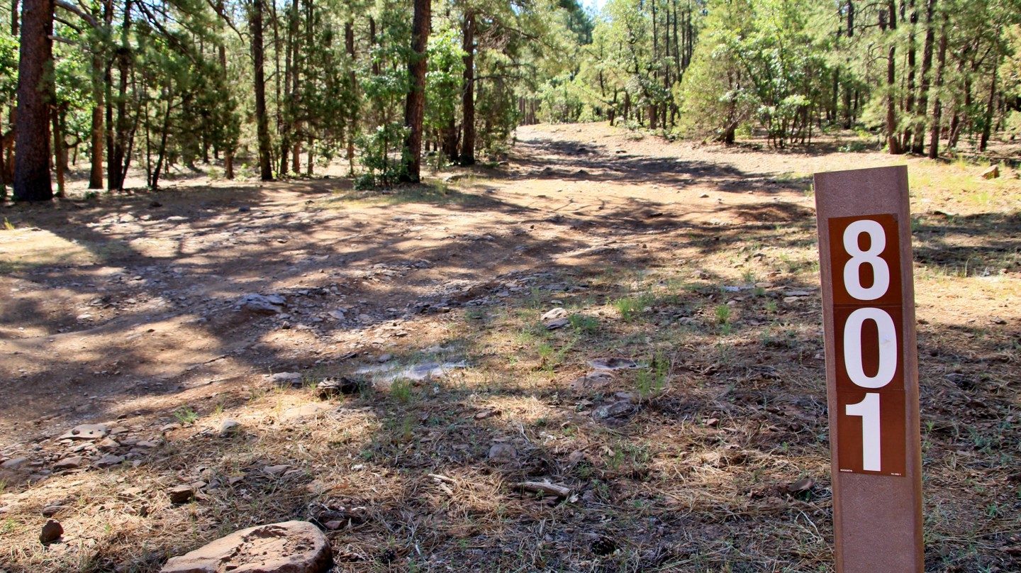 Schnebly Hill Road - Waypoint 7: FR 801 - Continue Straight