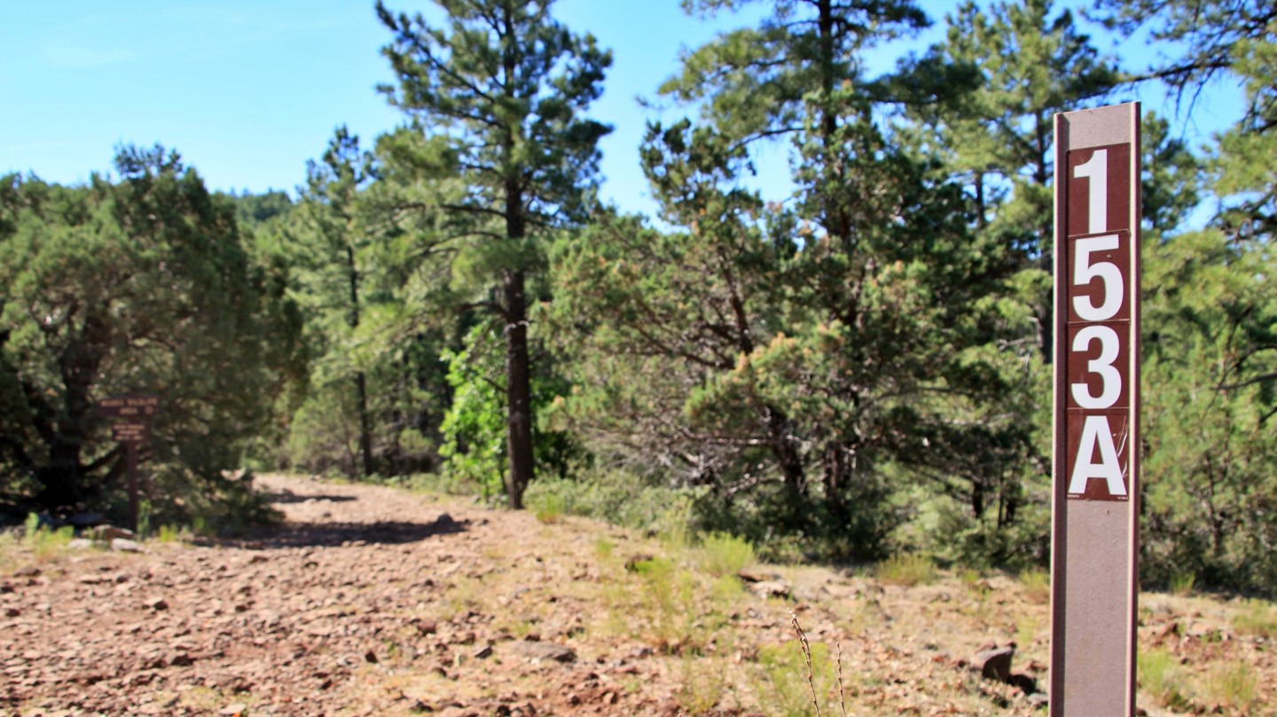 Schnebly Hill Road - Waypoint 8: FR 153A - Continue Straight