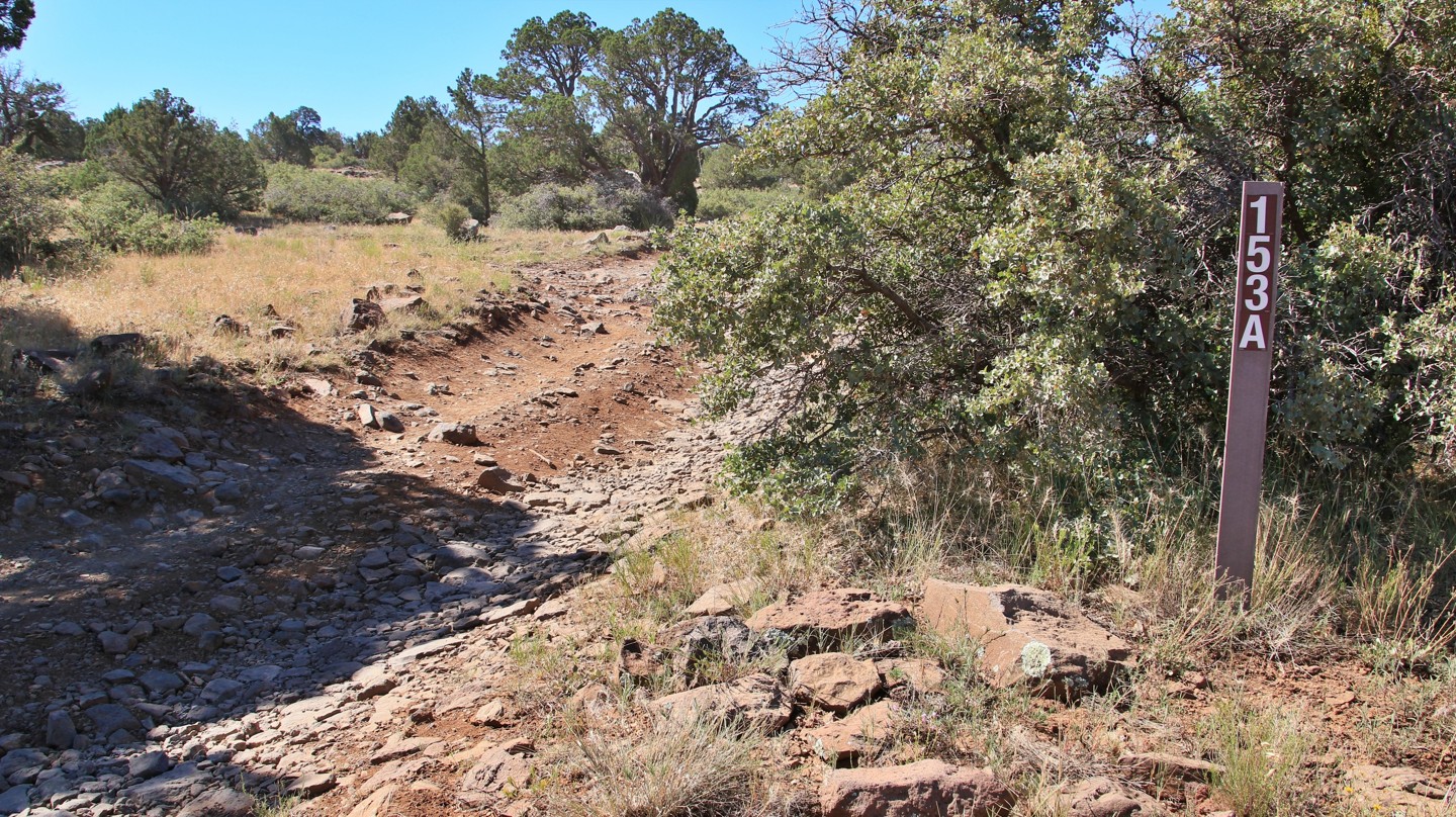 Schnebly Hill Road - Waypoint 9: FR 153A - Continue Straight