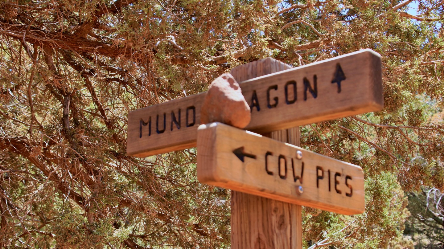 Schnebly Hill Road - Waypoint 13: Hiking Trailhead