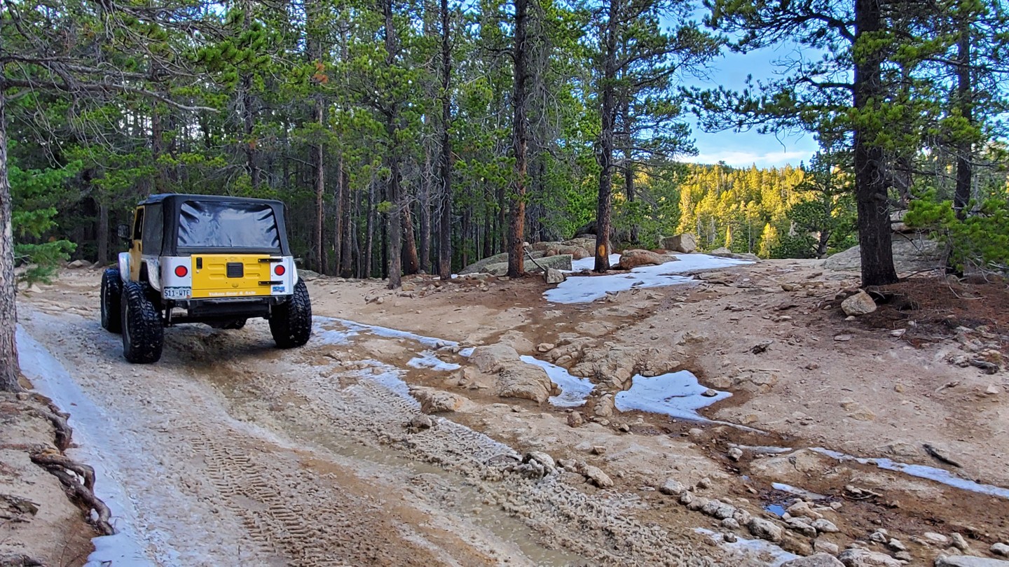 Bunce School Road - Waypoint 10: Campsite