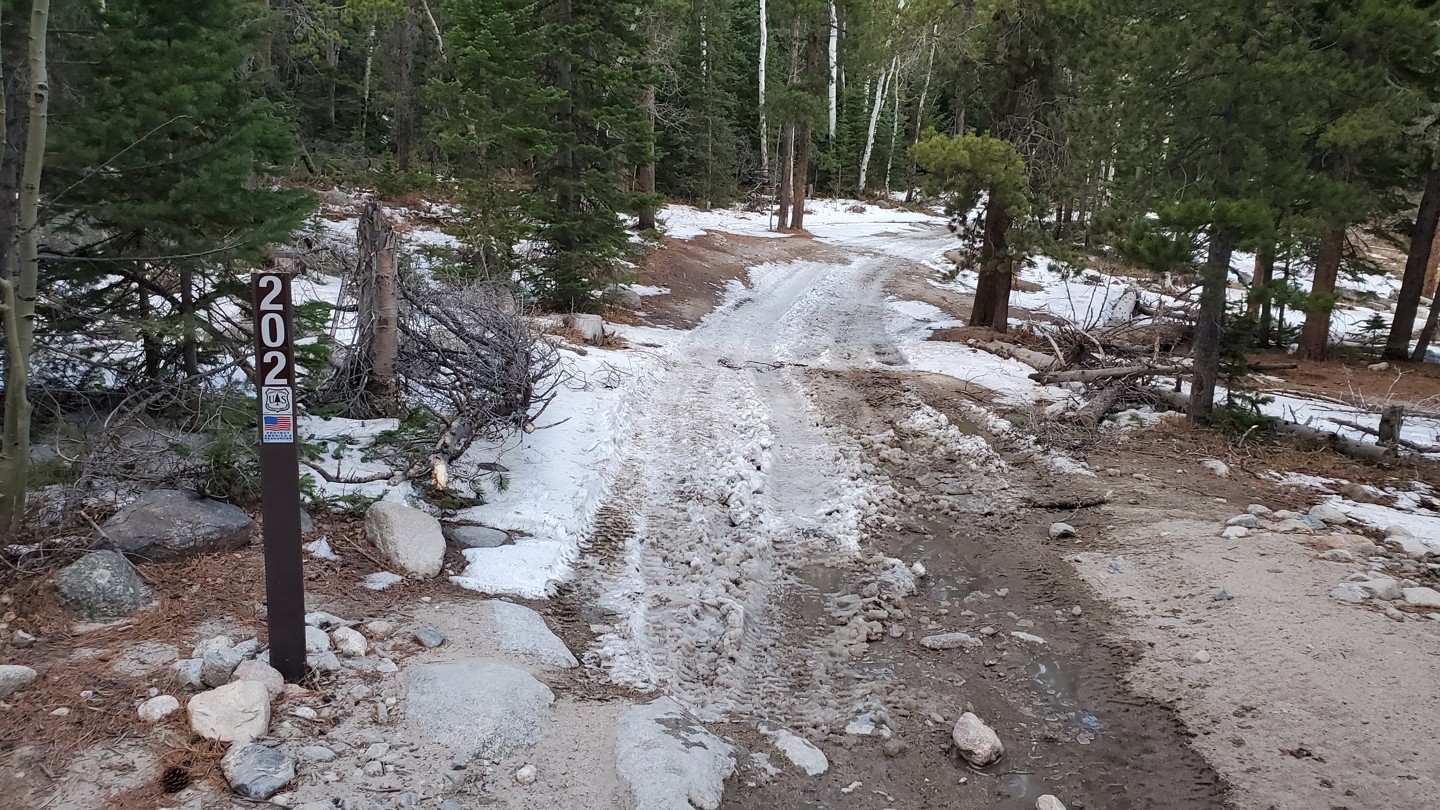 Bunce School Road - Waypoint 13: Stay Left - 202 Park Creek