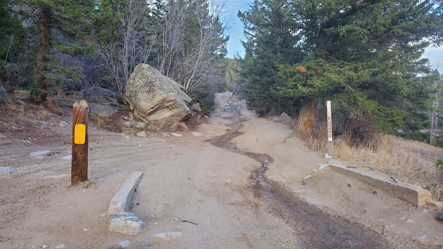 Bunce School Road - Waypoint 14: Southern Trailhead