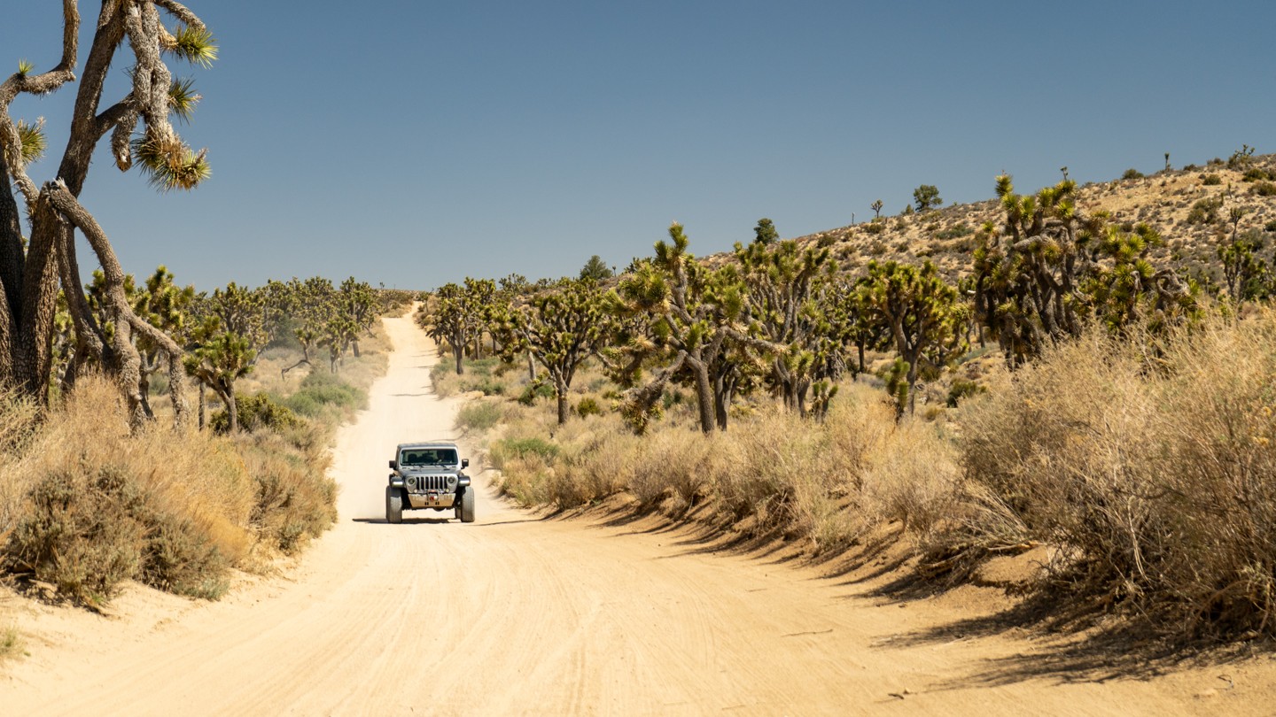 2N02 - Burns Canyon - Waypoint 4: Scenic Joshua Tree Straightaway - Continue Straight