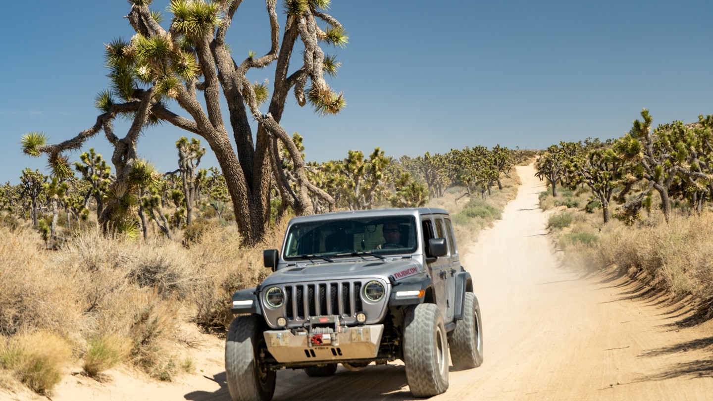 2N02 - Burns Canyon - Waypoint 4: Scenic Joshua Tree Straightaway - Continue Straight