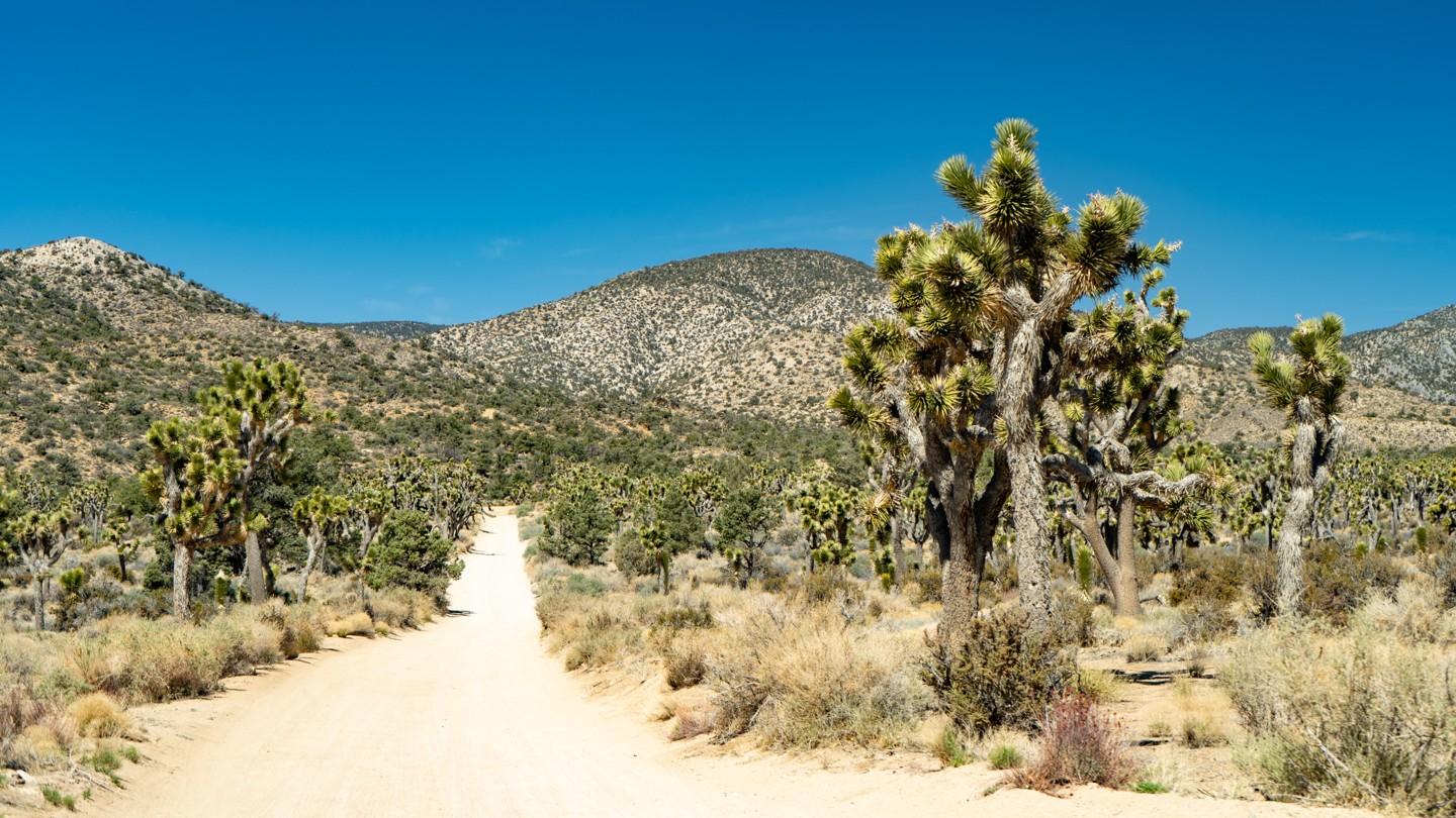 2N02 - Burns Canyon - Waypoint 5: Turn - Stay Southwest