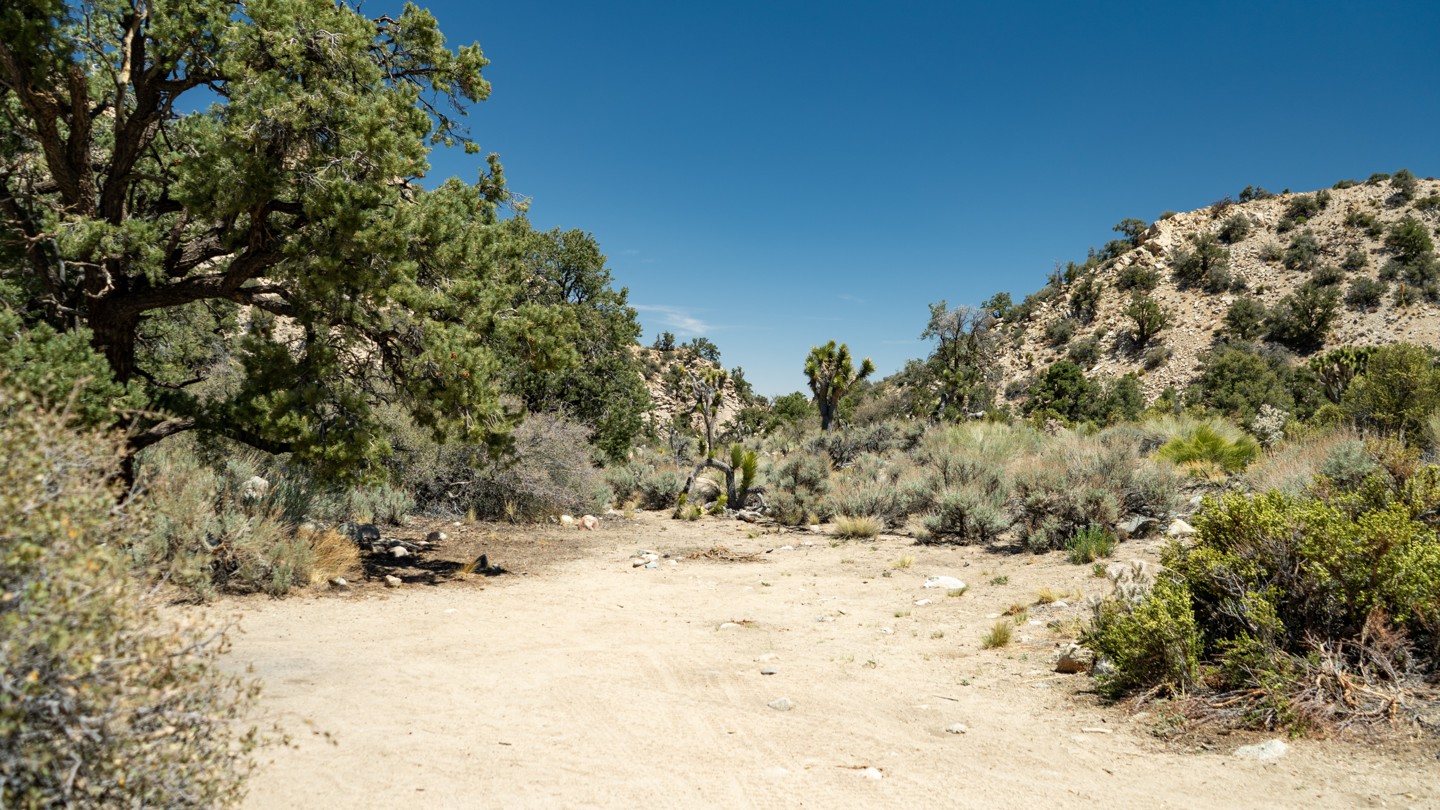 2N02 - Burns Canyon - Waypoint 7: Upper Old Rattlesnake Canyon and Camping - Continue Straight