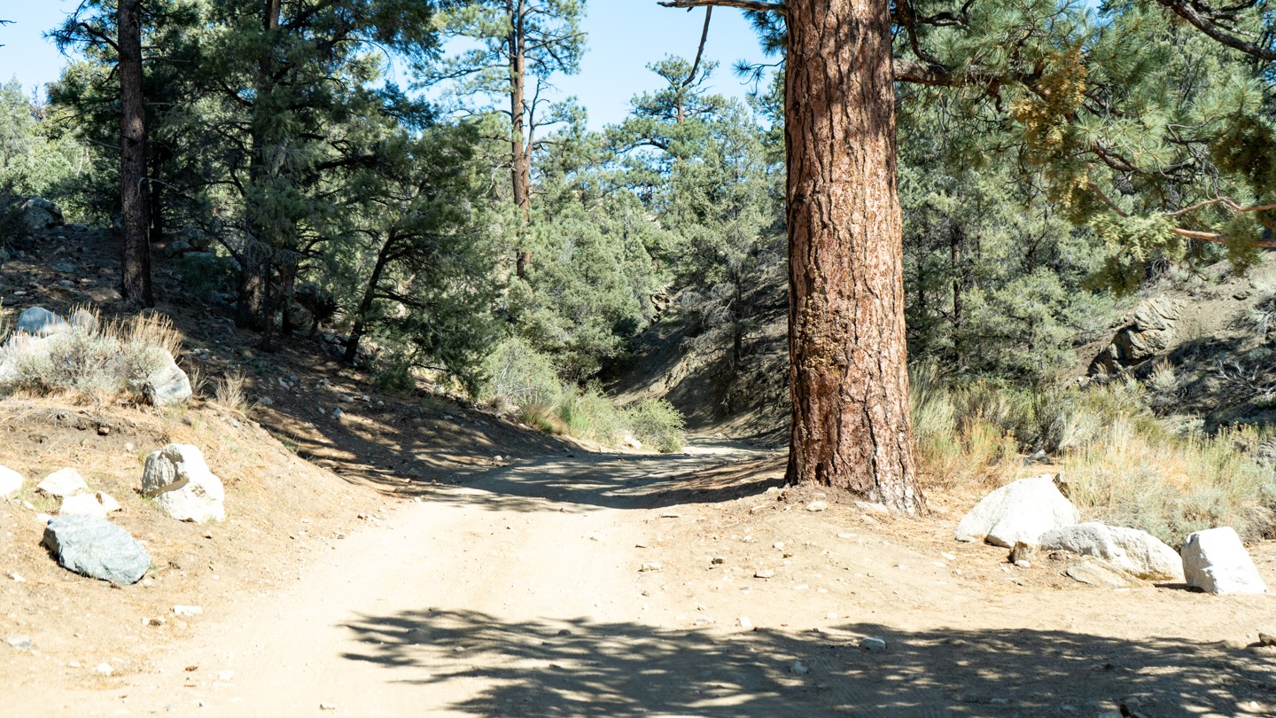 2N02 - Burns Canyon - Waypoint 27: Arrastre Creek and Redwoods - Continue Straight