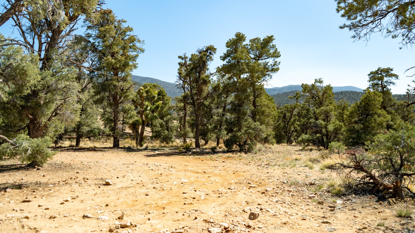 2N02 - Burns Canyon - Waypoint 26: Epic Overlook Camping Spot - Continue Straight