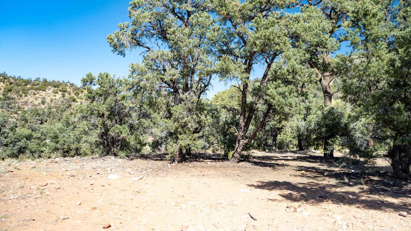 2N02 - Burns Canyon - Waypoint 26: Epic Overlook Camping Spot - Continue Straight