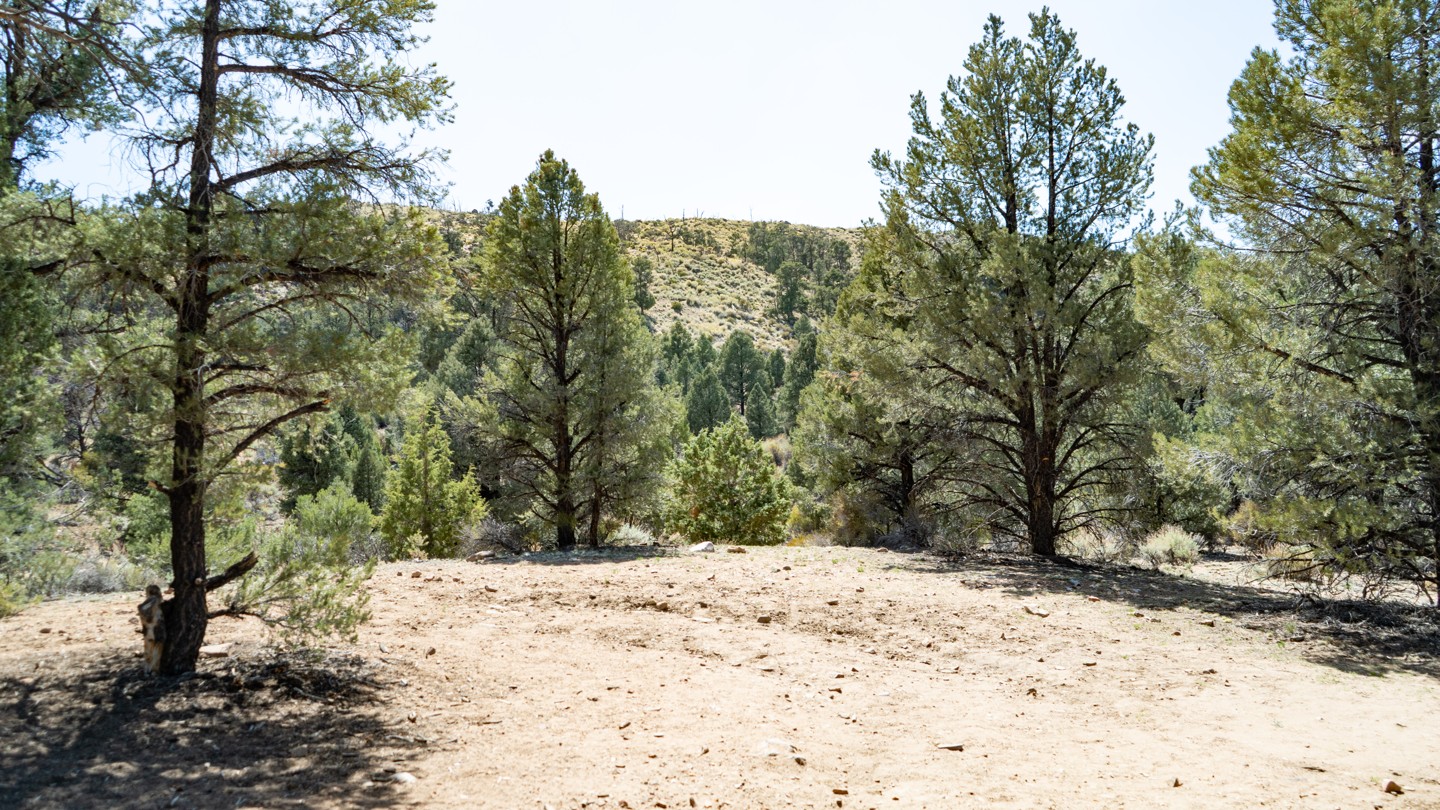 2N02 - Burns Canyon - Waypoint 24: Unknown Trail and Camping Spot - Continue Straight