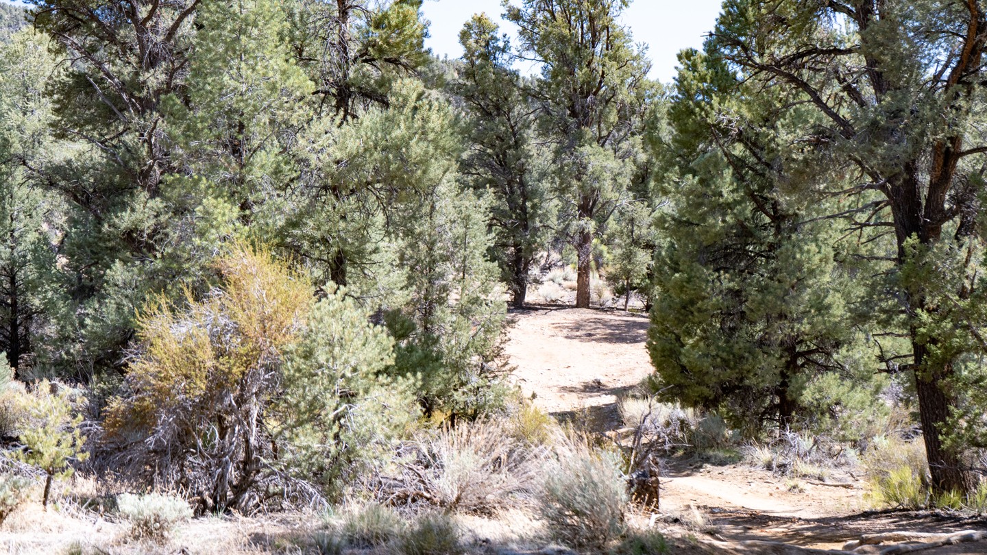 2N02 - Burns Canyon - Waypoint 24: Unknown Trail and Camping Spot - Continue Straight