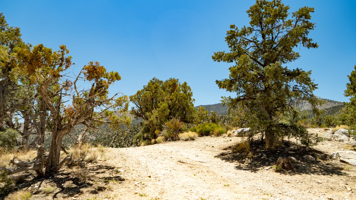 2N02 - Burns Canyon - Waypoint 14: Camping Spot for 1 to 2 Vehicles, Rooftop Tent Ideal - Stay Straight