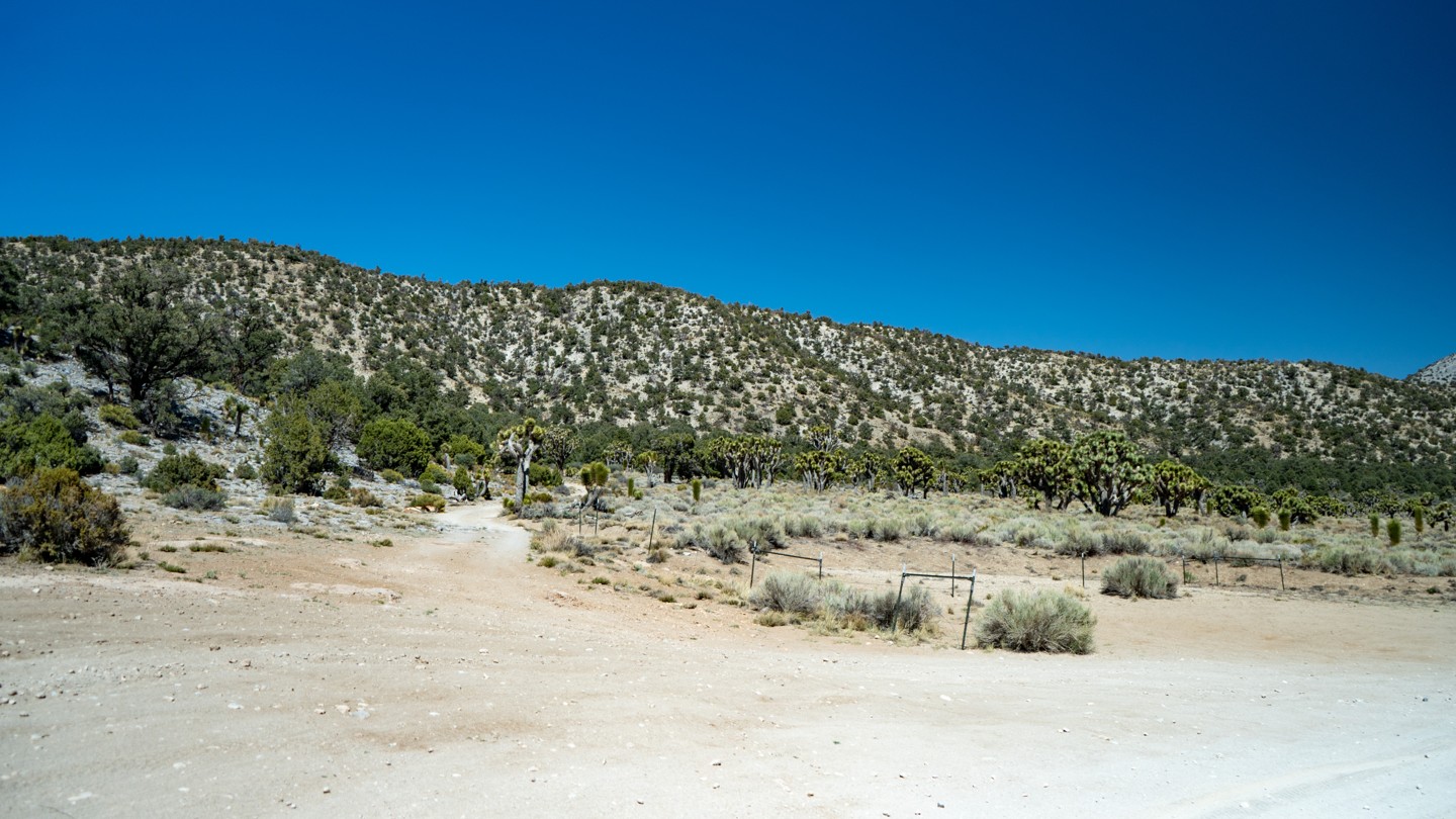 2N02 - Burns Canyon - Waypoint 22: Unknown Trail - Continue Straight