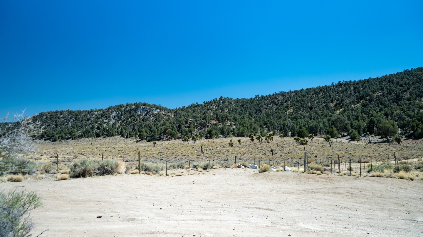 2N02 - Burns Canyon - Waypoint 22: Unknown Trail - Continue Straight