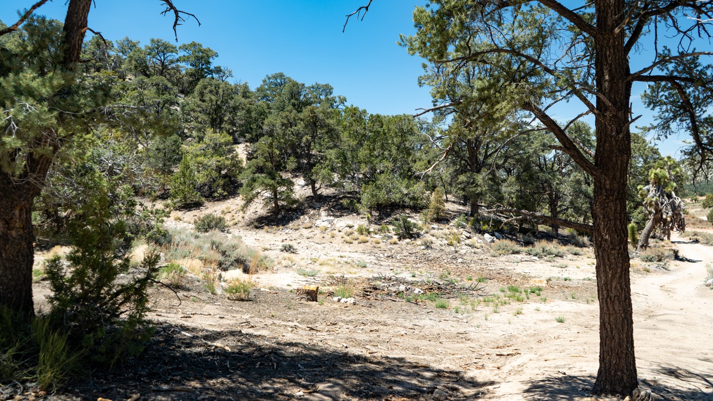 2N02 - Burns Canyon - Waypoint 16: Camping Spot and Monte Cristo Mine - Stay North