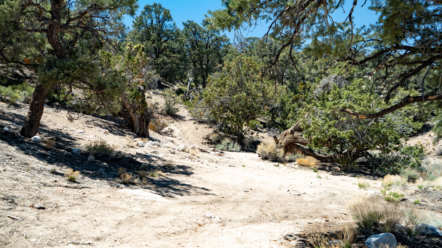 2N02 - Burns Canyon - Waypoint 16: Camping Spot and Monte Cristo Mine - Stay North