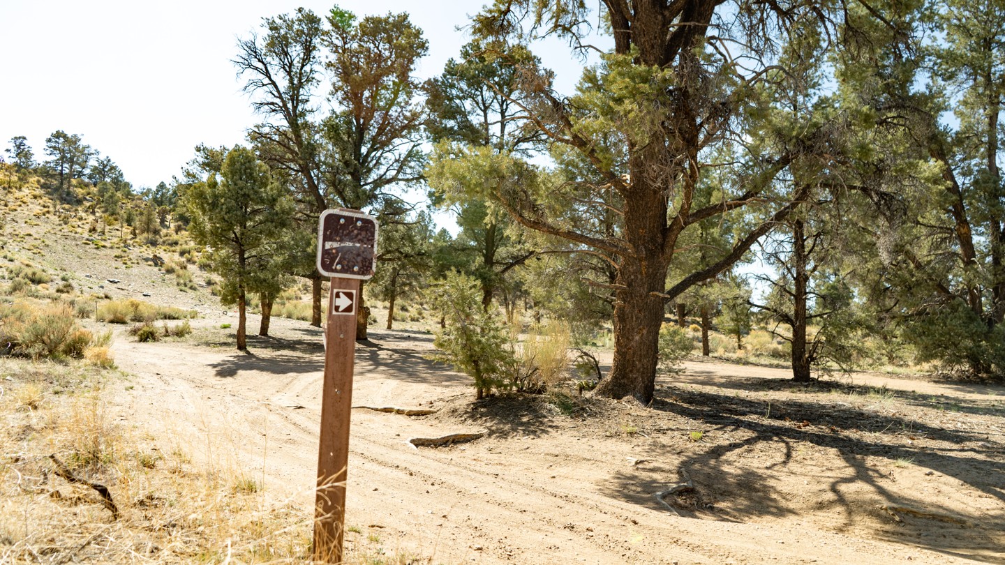 2N02 - Burns Canyon - Waypoint 28: Legal Shooting Area - Continue Straight