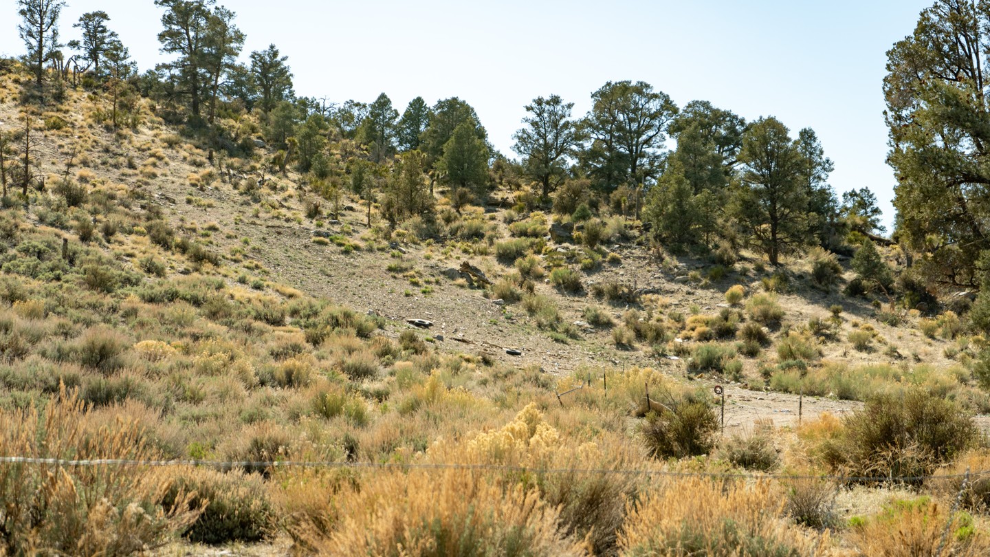 2N02 - Burns Canyon - Waypoint 28: Legal Shooting Area - Continue Straight