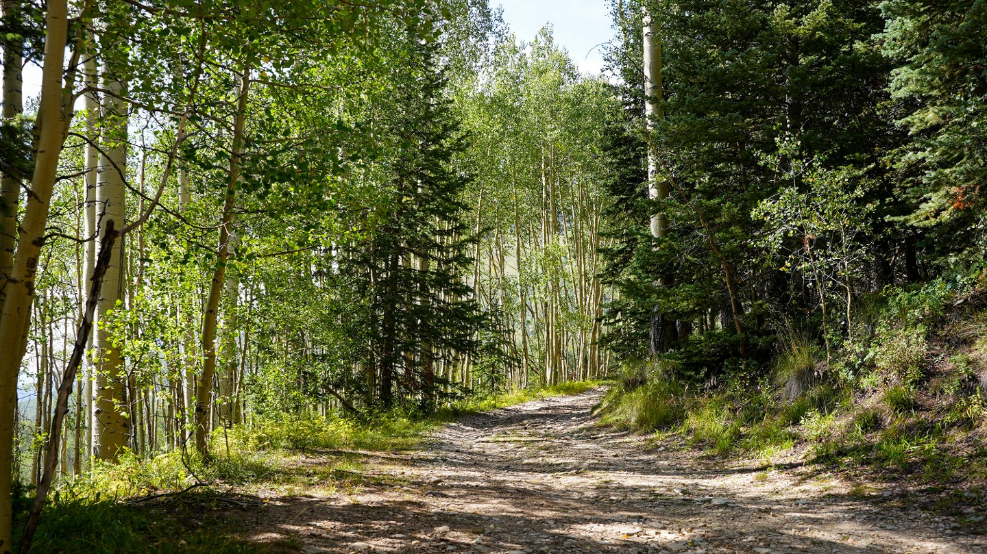 Ophir Pass - Waypoint 7: Unnamed Road - Stay Straight