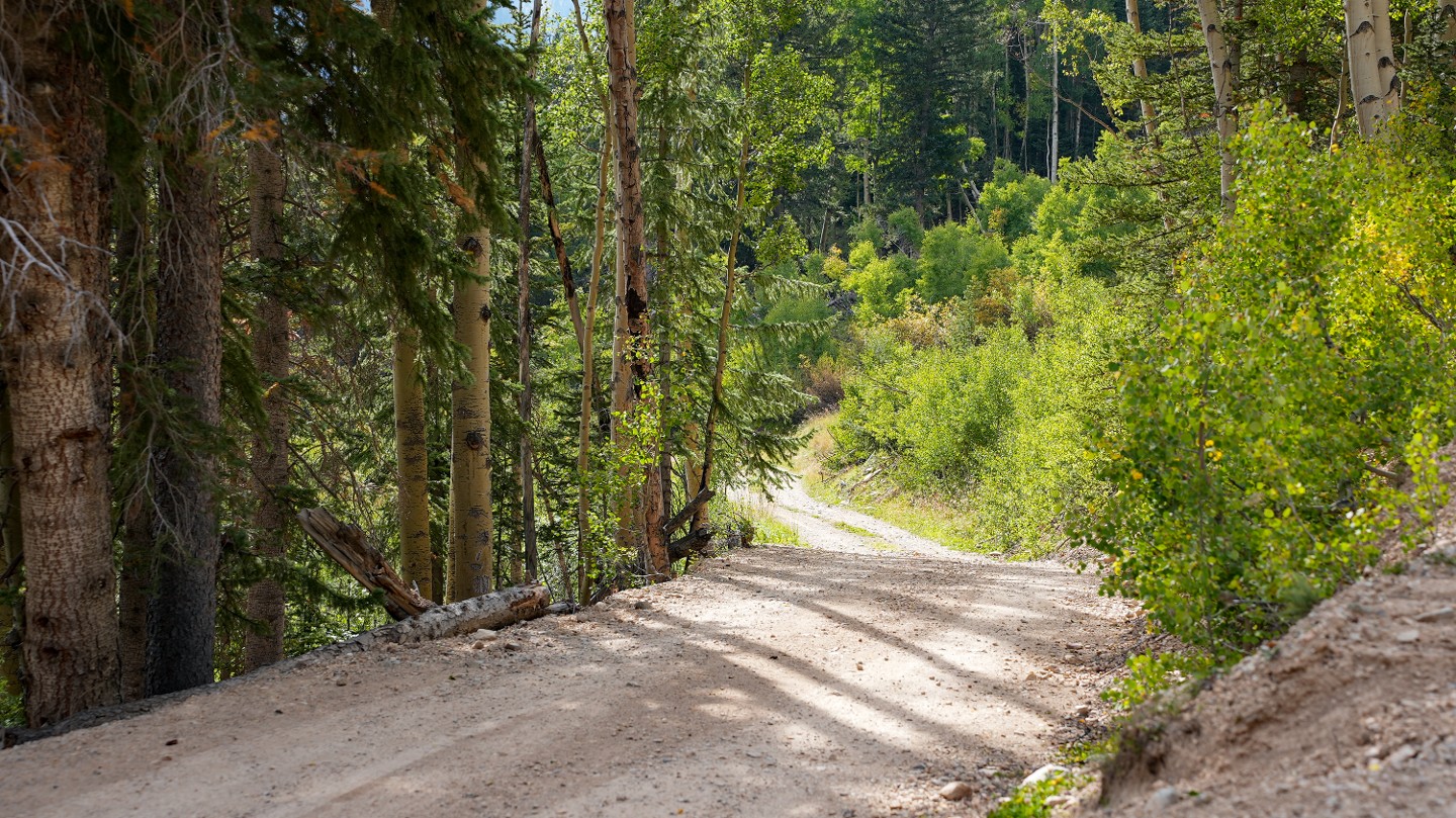 Ophir Pass - Waypoint 14: FS 819 - Stay Straight