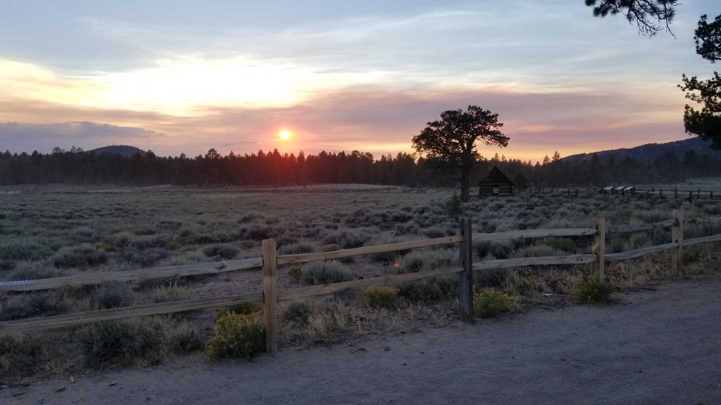 3N16 - Holcomb Valley - Waypoint 26: Miners Cabin