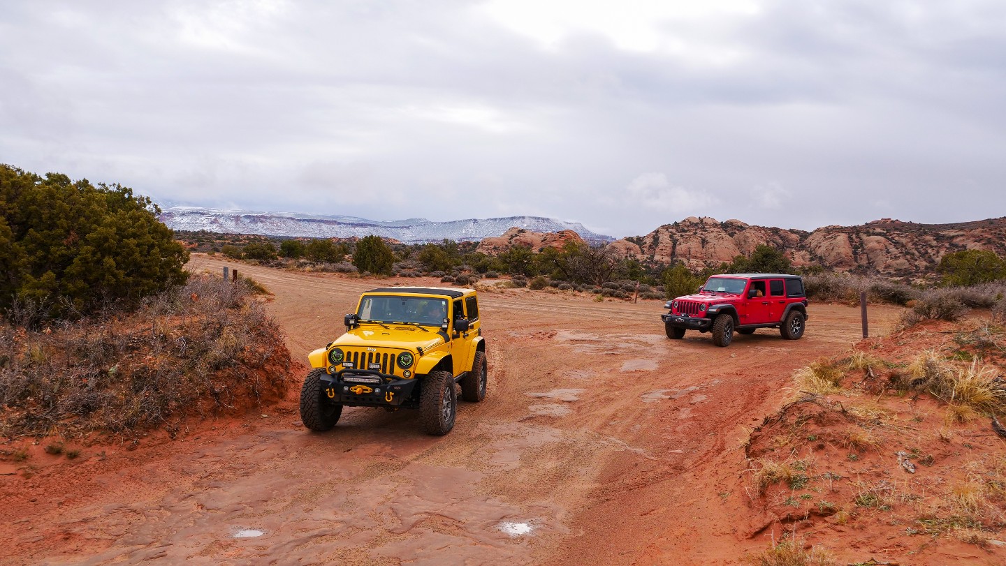 Fins and Things - Waypoint 19: North Section Trailhead - Turn Left