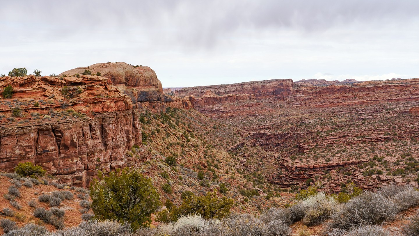 Fins and Things - Waypoint 25: Grandstaff Canyon Wilderness Study Area  Overlook