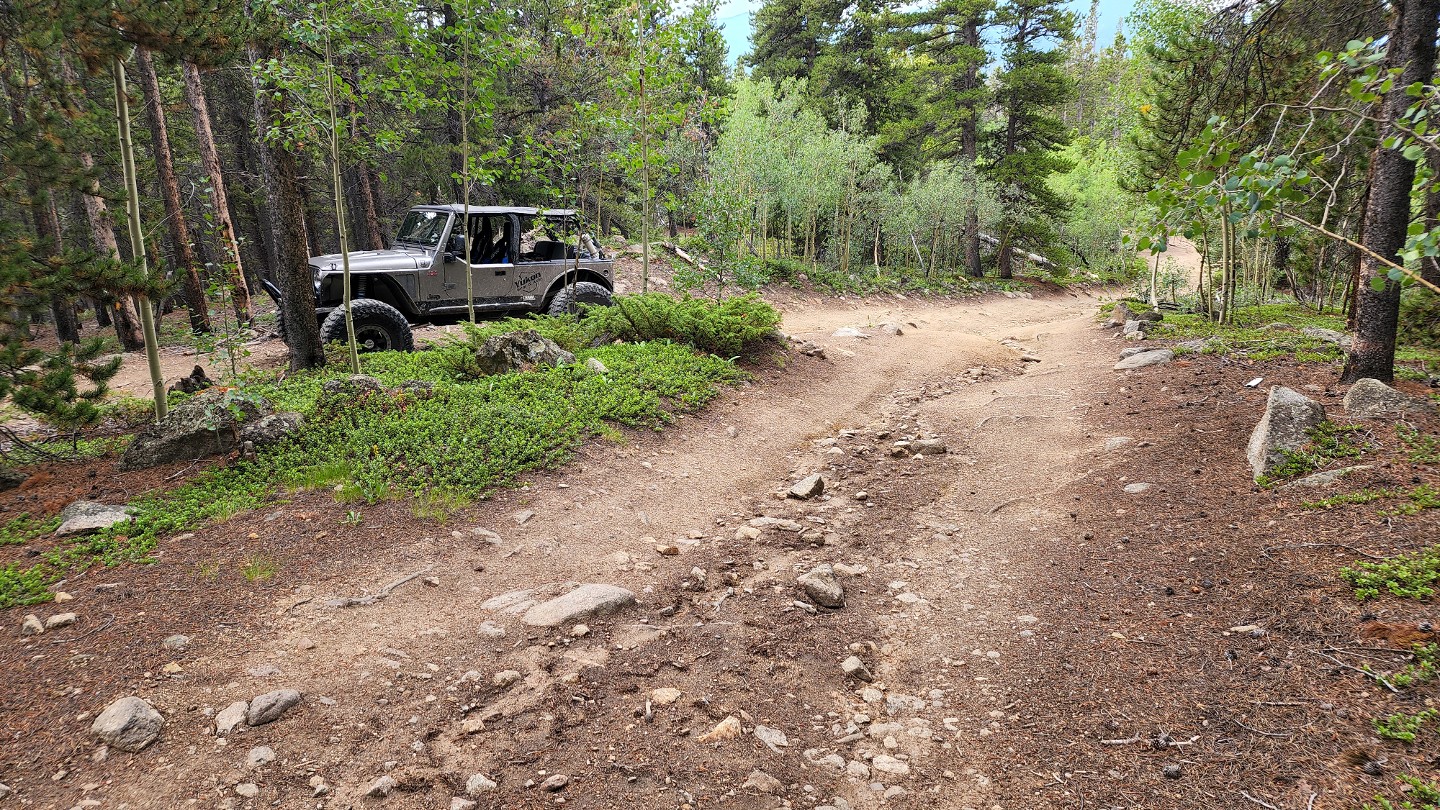 Bill Moore Lake - Waypoint 6: Trail Split - Stay Right