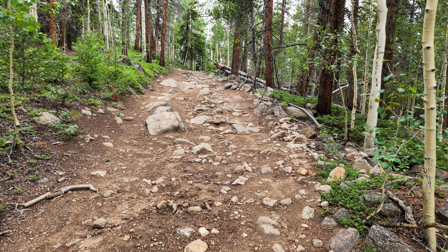 Bill Moore Lake - Waypoint 6: Trail Split - Stay Right