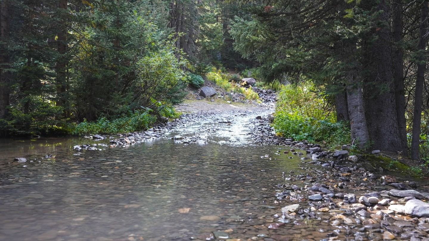 Imogene Pass - Waypoint 22: Water Crossing