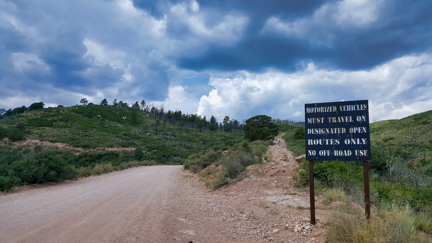 Rampart Range Road - Waypoint 3: Forest Begins