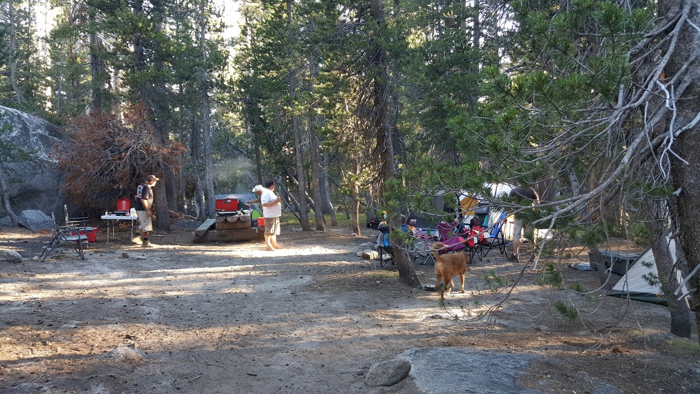 Camping: 3N16 - Holcomb Valley