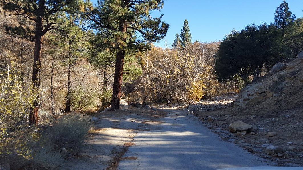 3N16 - Holcomb Valley - Waypoint 5: 3N93 Holcomb Creek, Pacific Crest Trail, Water Crossing - Continue Straight