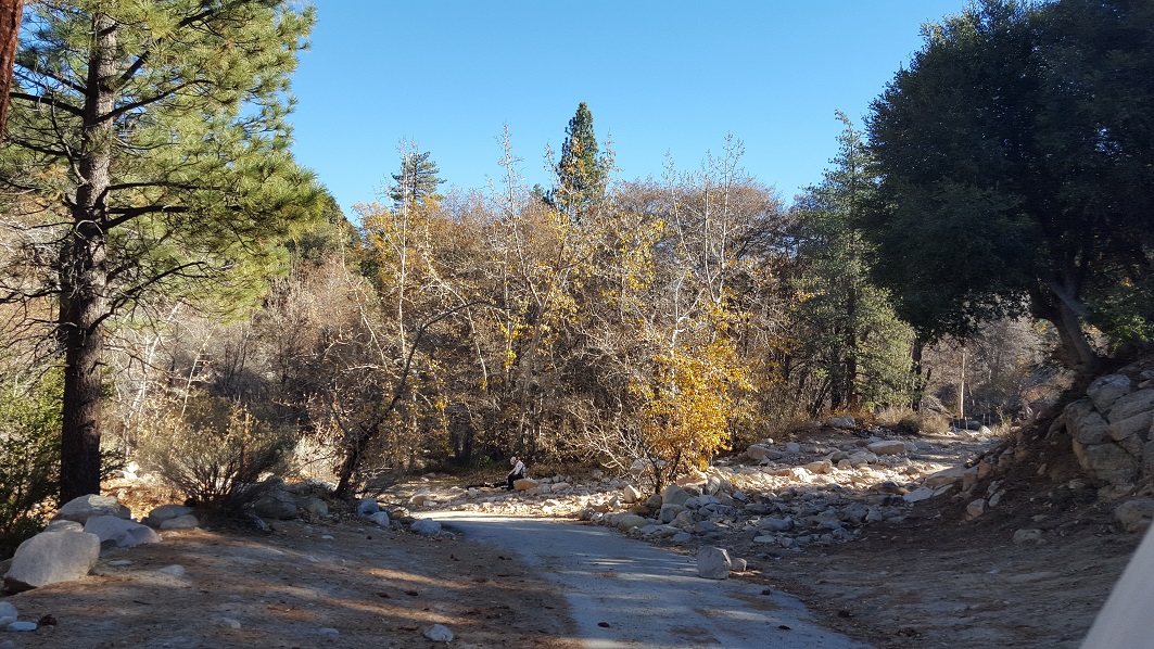 3N16 - Holcomb Valley - Waypoint 5: 3N93 Holcomb Creek, Pacific Crest Trail, Water Crossing - Continue Straight