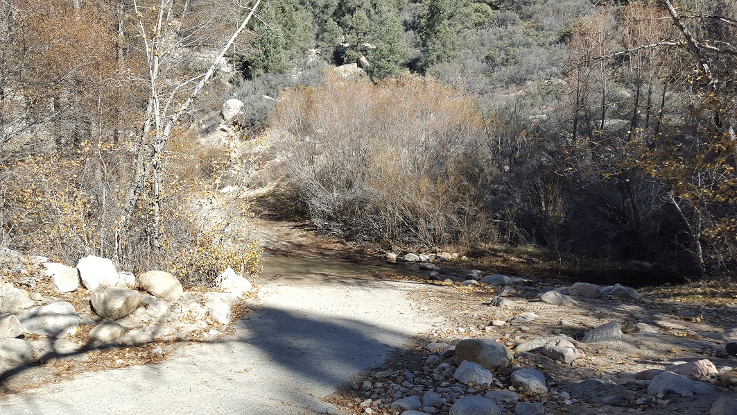 3N16 - Holcomb Valley - Waypoint 5: 3N93 Holcomb Creek, Pacific Crest Trail, Water Crossing - Continue Straight