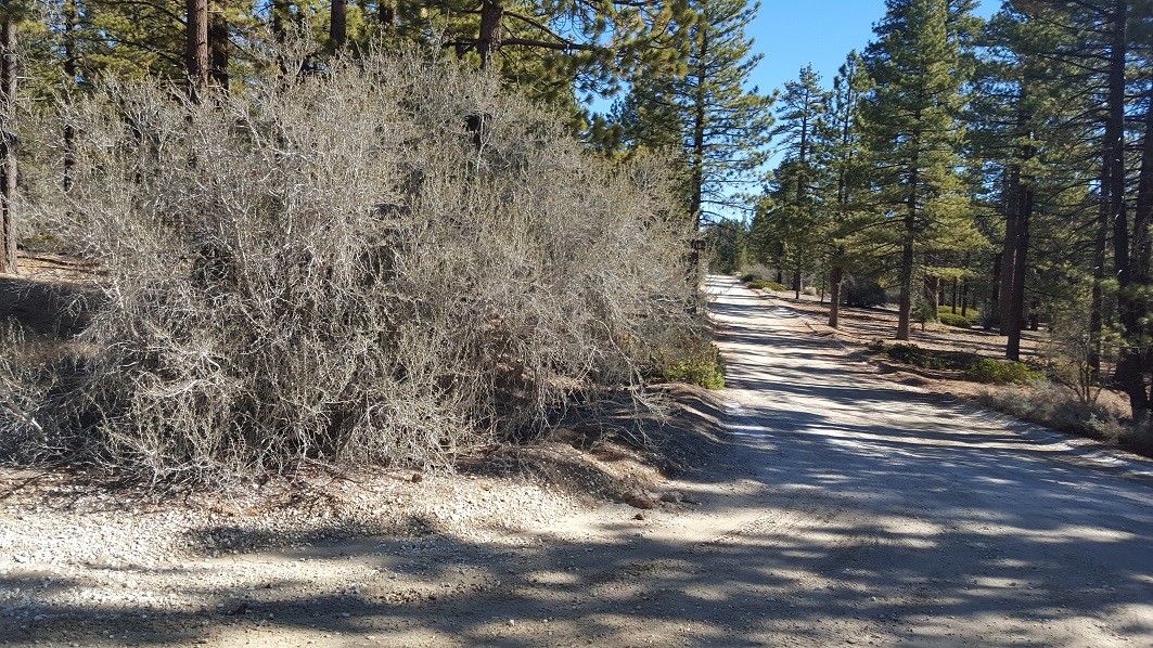 3N16 - Holcomb Valley - Waypoint 20: 2N09 Polique Canyon - Turn Left