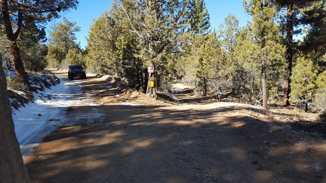 3N16 - Holcomb Valley - Waypoint 31: 3N02 Burnt Flat - Continue Straight