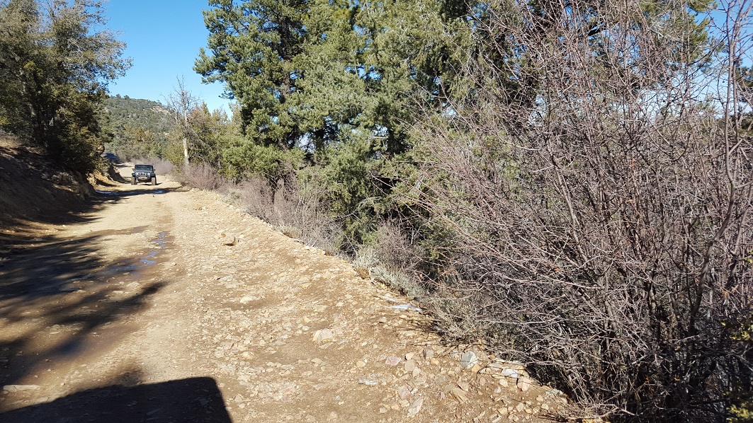 3N69 – Gold Mountain - Waypoint 12: Trailhead at 3N16 - Northend Of Trail