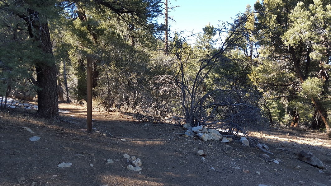 3N69 – Gold Mountain - Waypoint 11: Pacific Crest Trail