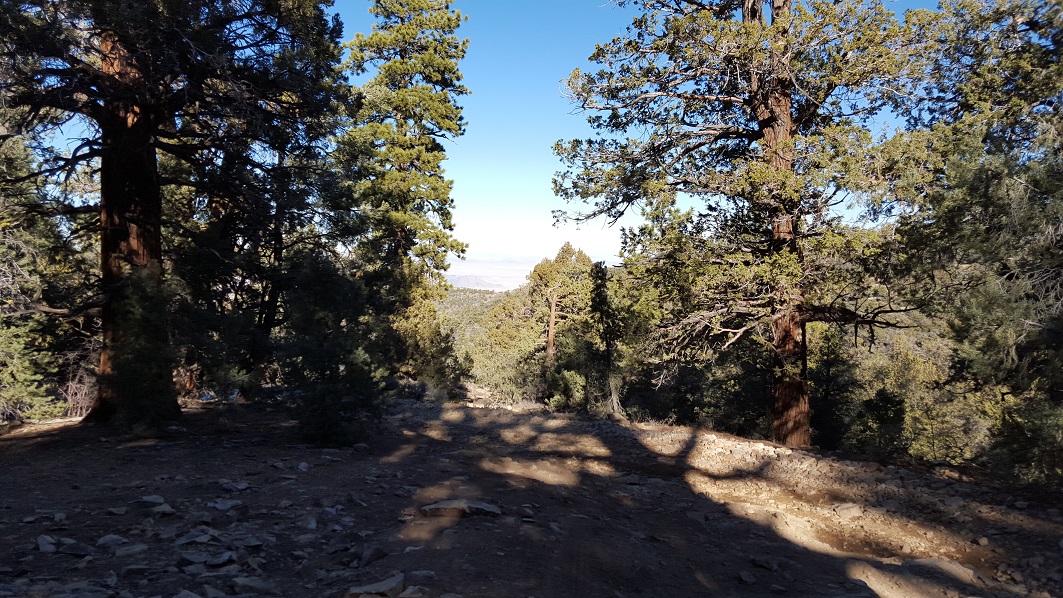 3N69 – Gold Mountain - Waypoint 11: Pacific Crest Trail