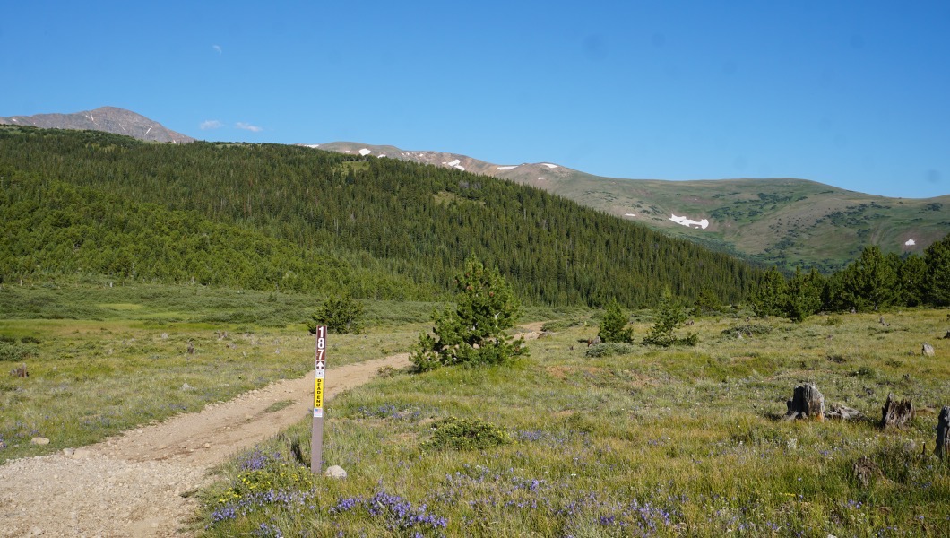 Kingston Peak - Waypoint 3: Forest Service 187 Dead End Trailhead