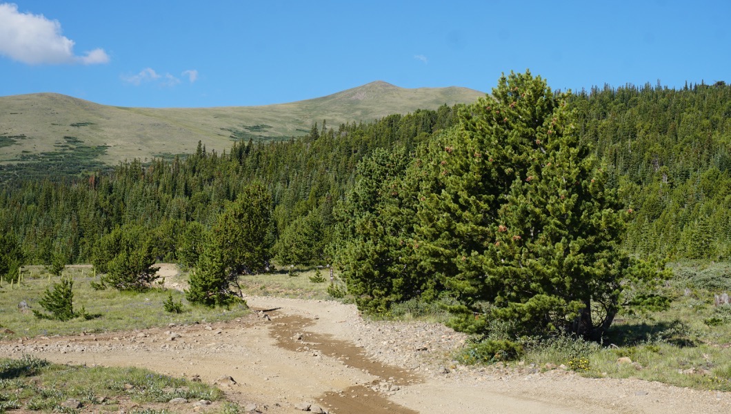 Kingston Peak - Waypoint 4: Forest Service 772.1 Pigsah Lake Trailhead