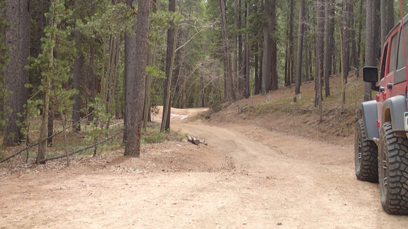 Rampart Range Road - Waypoint 18: Fern Creek Road & Gove Creek Road