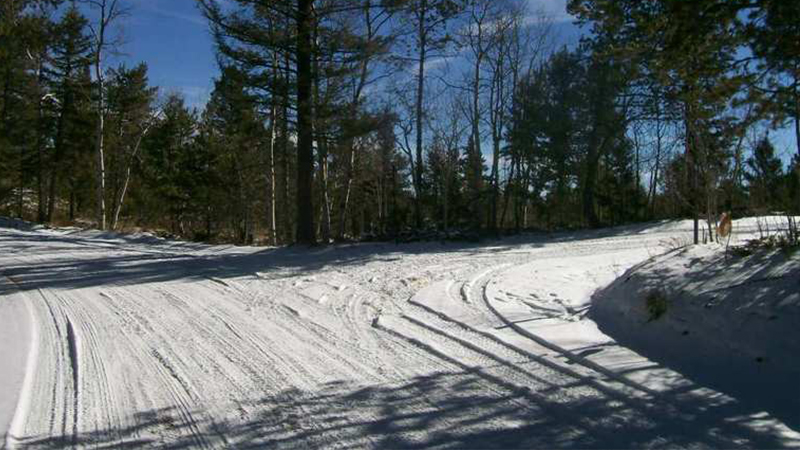 Rampart Range Road - Waypoint 16: Ice Cave Road