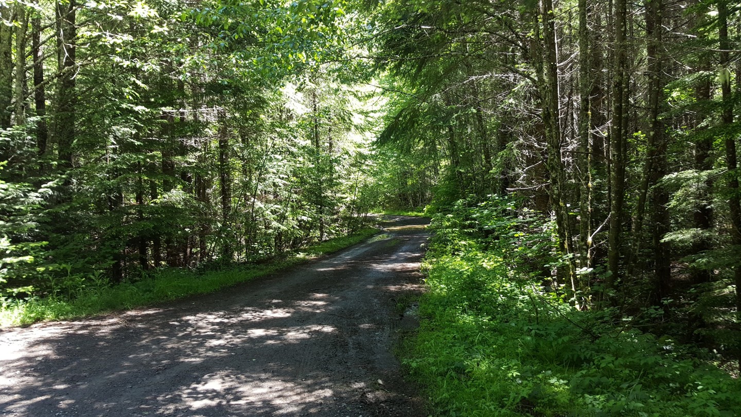 NF-7030 to Stampede Pass - Waypoint 2: Intersection with NF-110