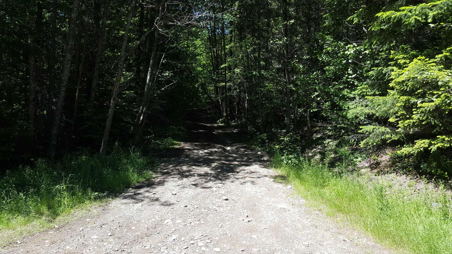 NF-7030 to Stampede Pass - Waypoint 3: Intersection with Trail 310 on Left