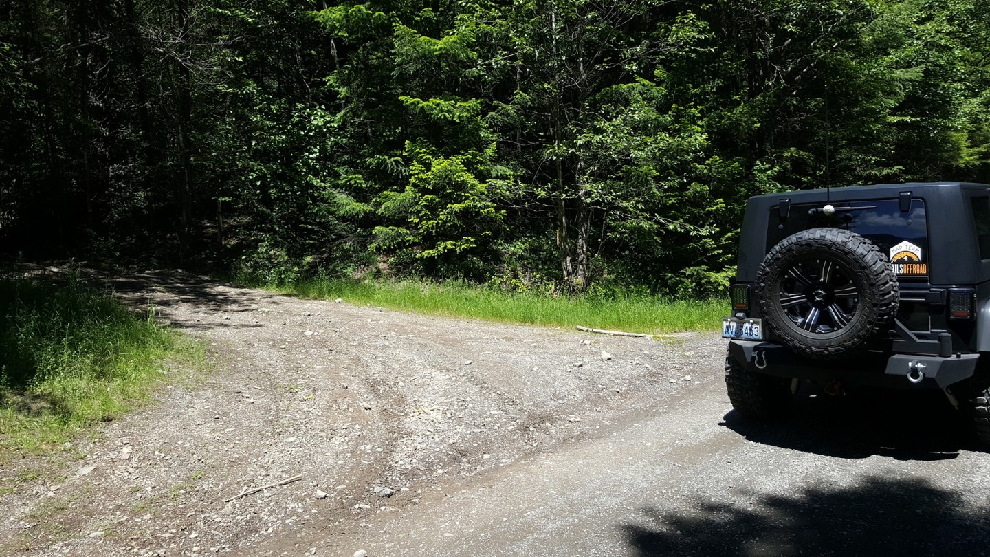 NF-7030 to Stampede Pass - Waypoint 3: Intersection with Trail 310 on Left