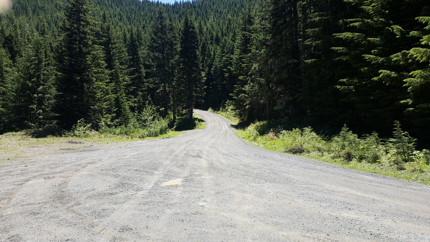 NF-7030 to Stampede Pass - Waypoint 4: Fork in the Road