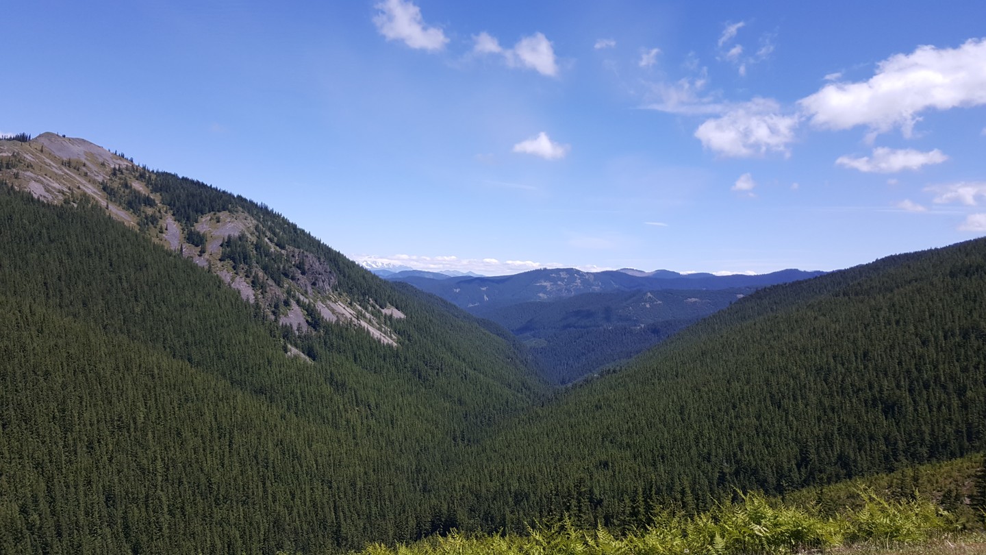 NF-7030 to Stampede Pass - Waypoint 5: Cascade Scenic Vista